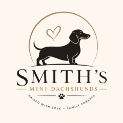 Smith’s Mini Dachshunds
